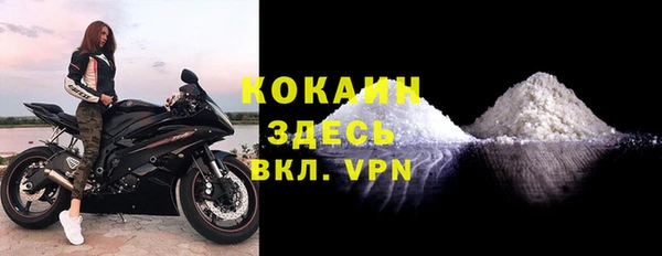 мяу мяу мука Белокуриха