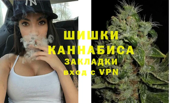 индика Белоозёрский