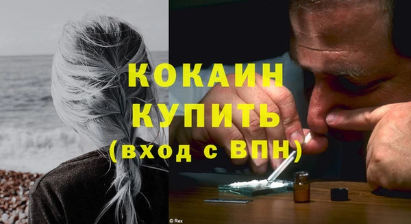 индика Белоозёрский