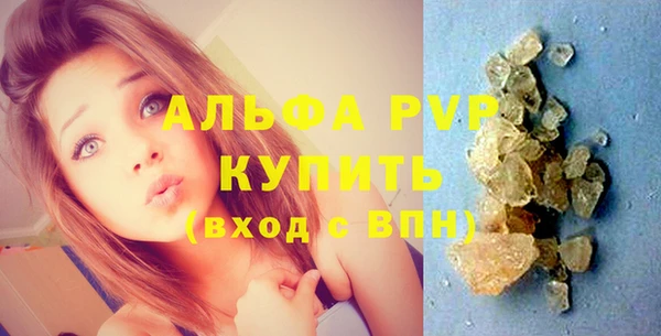 индика Белоозёрский